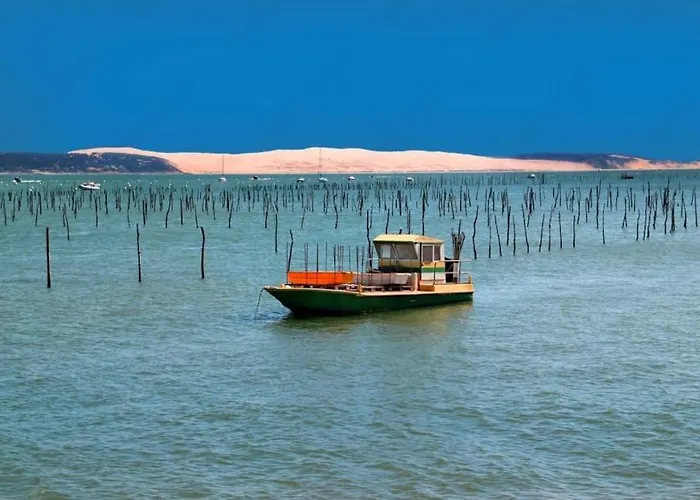 Apartamento Centre D'arcachon A 400 M De La Arcachón